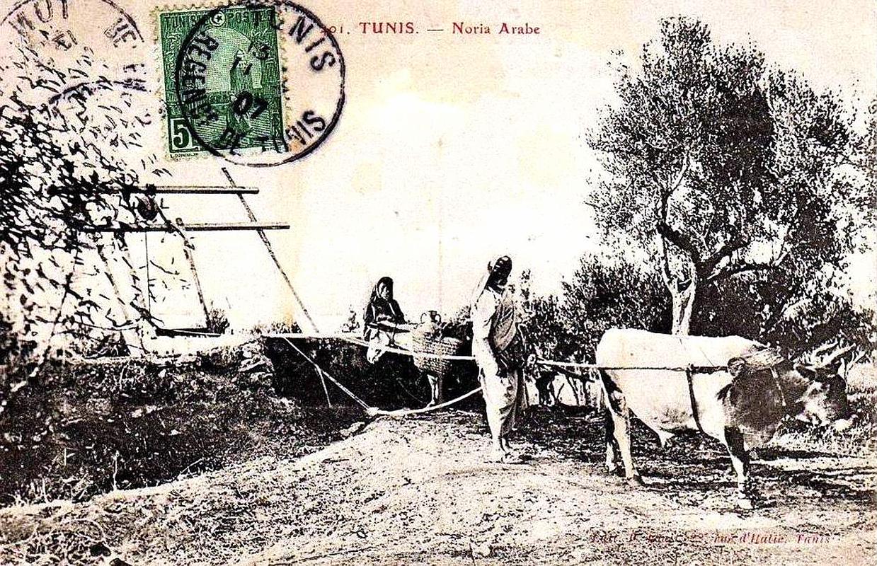 Puits typiques d'AFN - 044.jpg